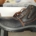 Stocklot work shoes