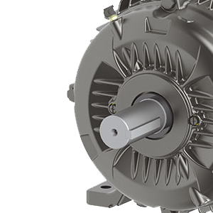 Electric motors