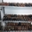 Stocklot ladies shoes